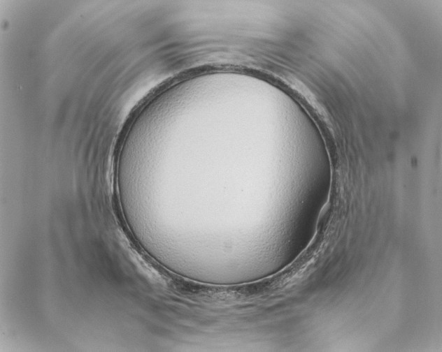 X0000088580791200706151710