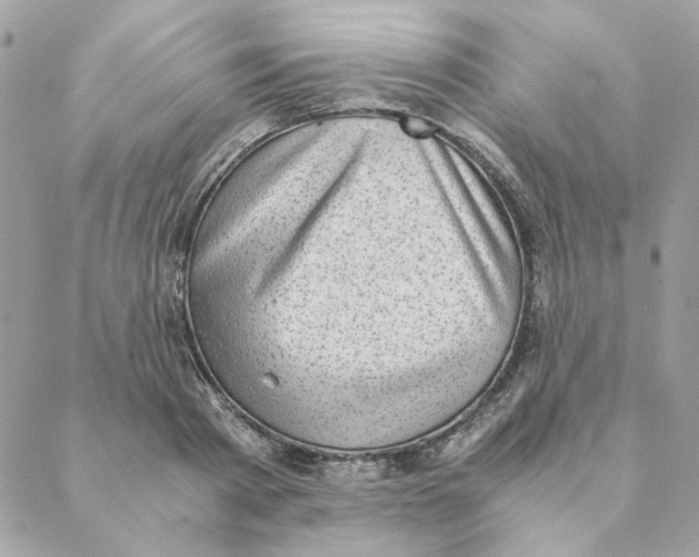 X0000088580793200706151710