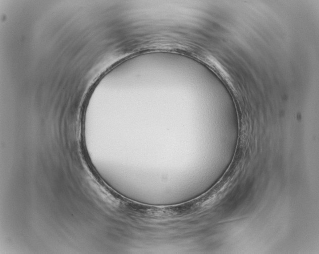 X0000088580795200706151710