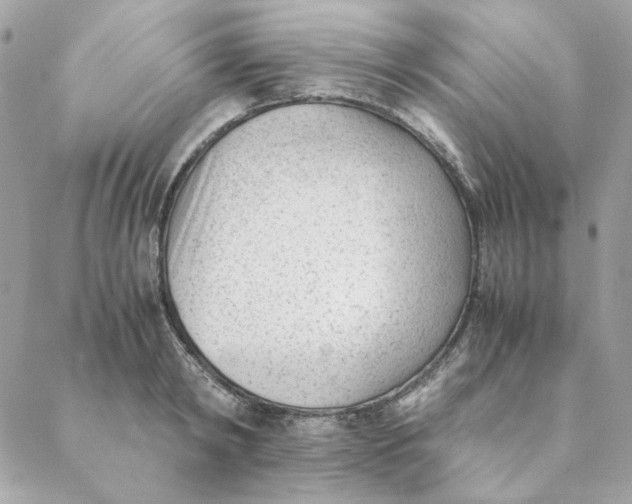 X0000088580798200706151710