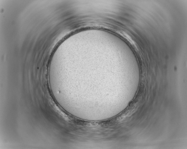 X0000088580799200706151710