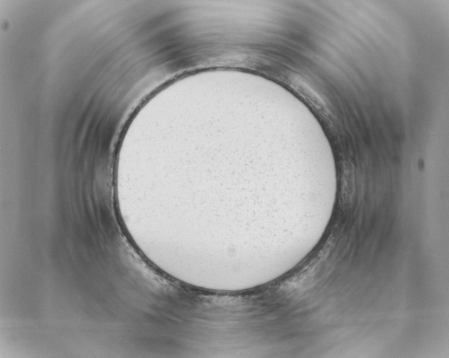 X0000088580800200706151710