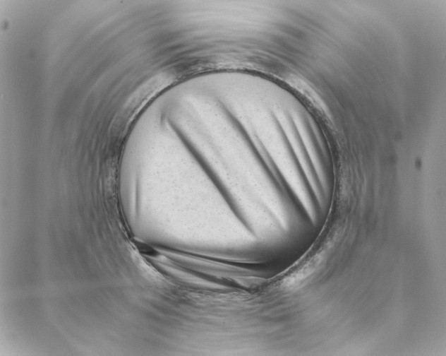 X0000088580801200706151710