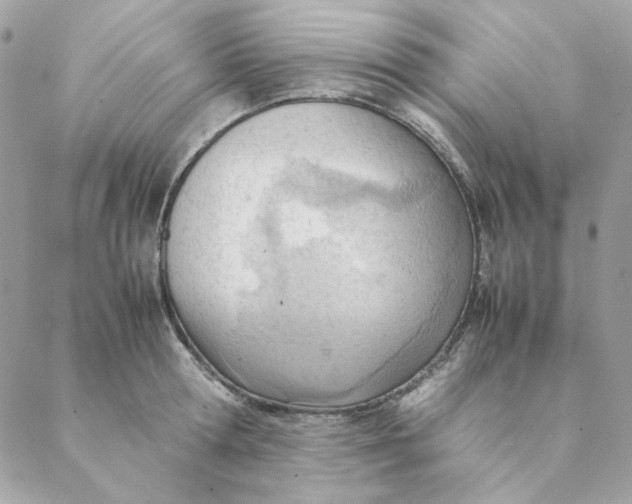 X0000088580802200706151710