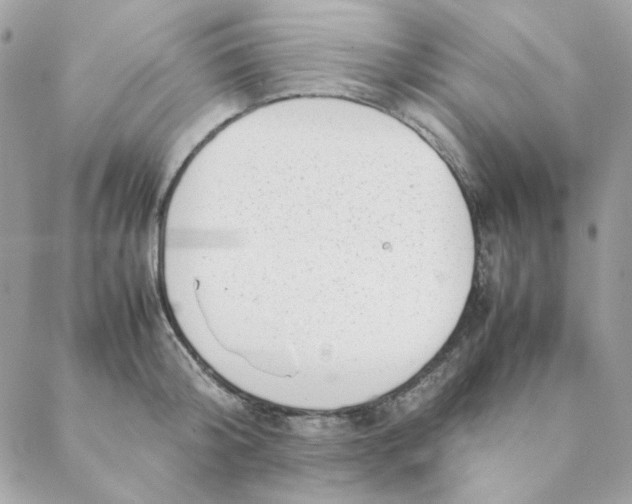 X0000088580804200706151710