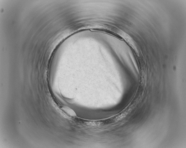 X0000088580805200706151710