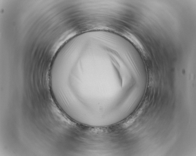 X0000088580806200706151710