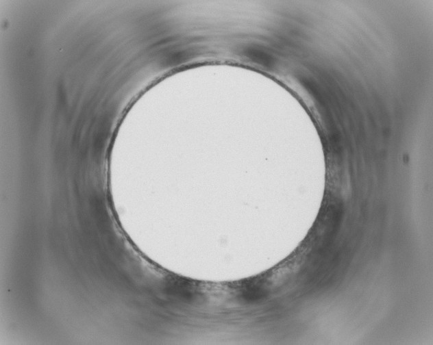 X0000088580807200706151710