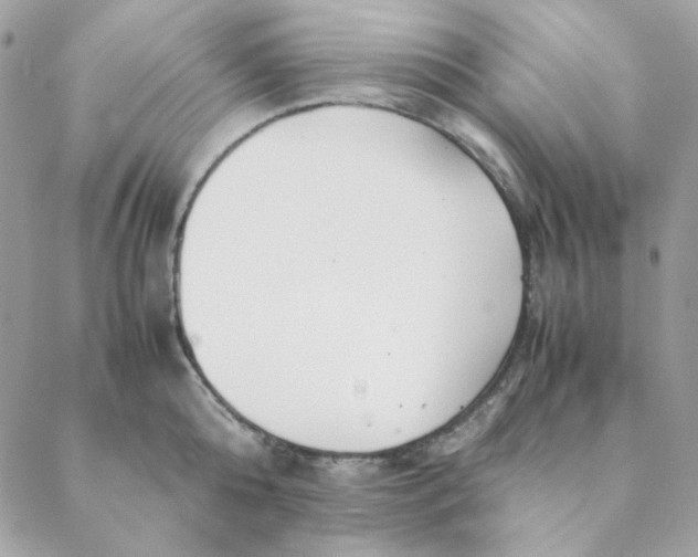 X0000088580808200706151710