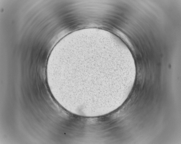 X0000088580810200706151710