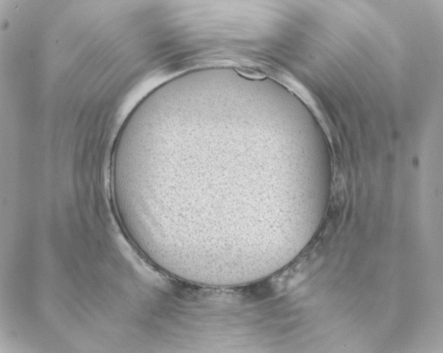 X0000088580811200706151710