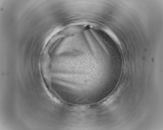 X0000088580813200706151710