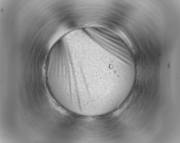 X0000088580814200706151710