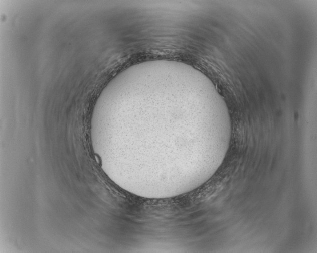 X0000088580817200706151709