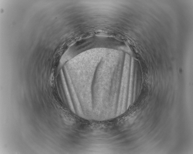 X0000088580818200706151709