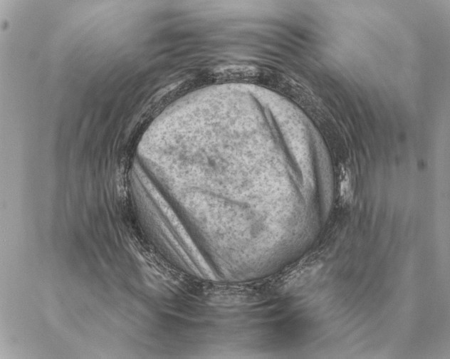 X0000088580819200706151709