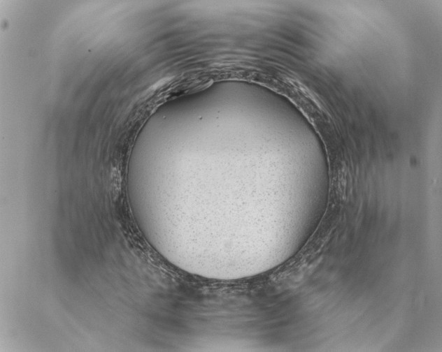 X0000088580821200706151709