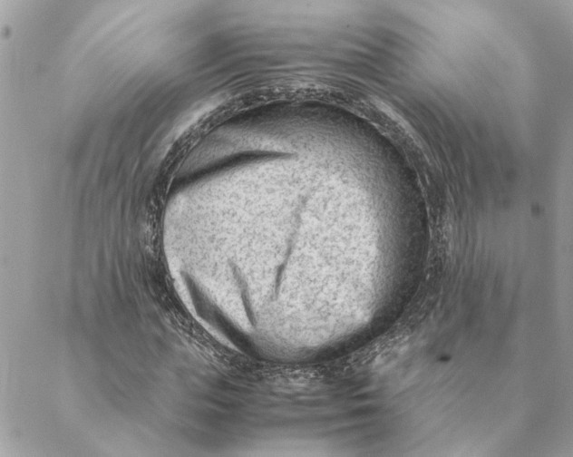 X0000088580823200706151709