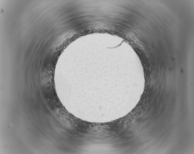 X0000088580824200706151709