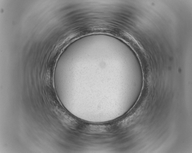 X0000088580825200706151709