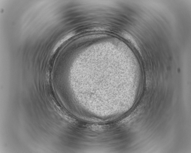 X0000088580827200706151709