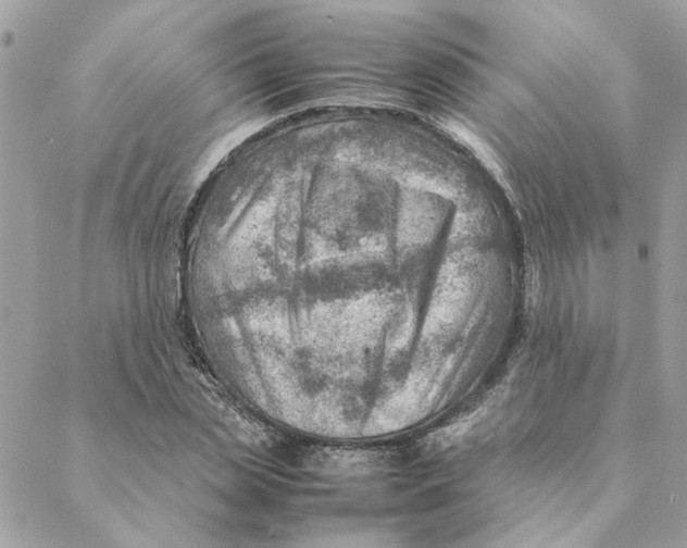 X0000088580829200706151709