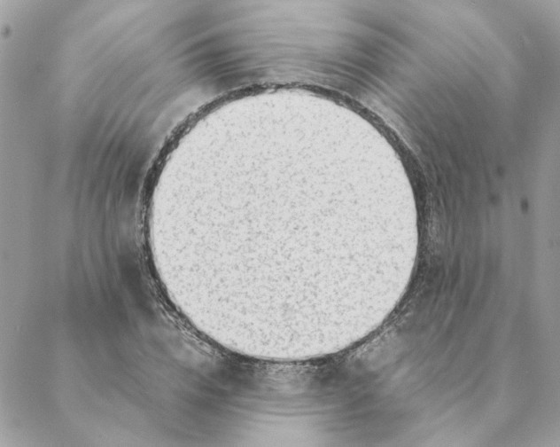 X0000088580832200706151709