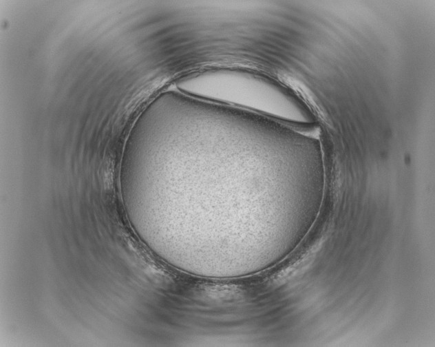 X0000088580833200706151709