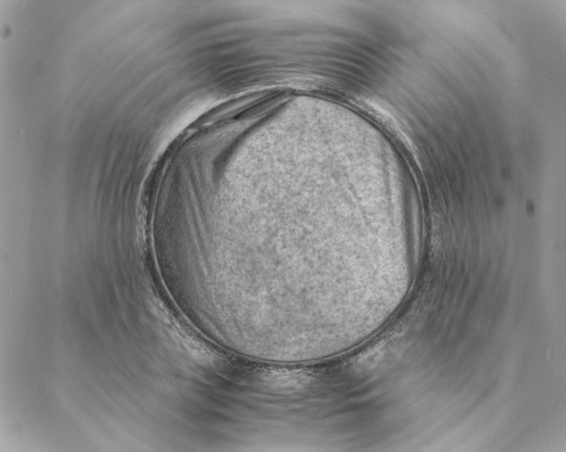 X0000088580835200706151709