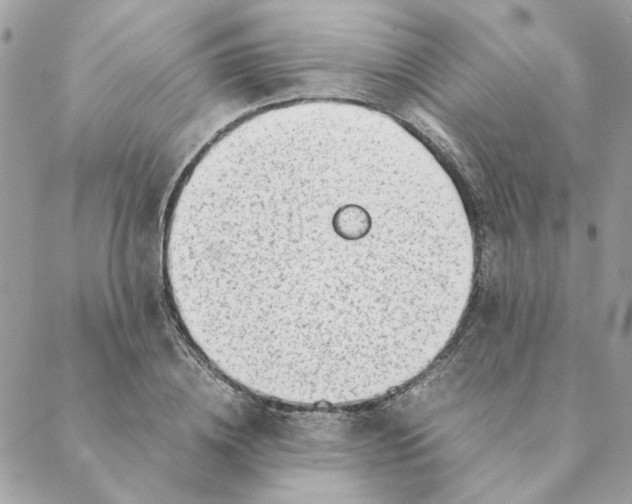 X0000088580836200706151709