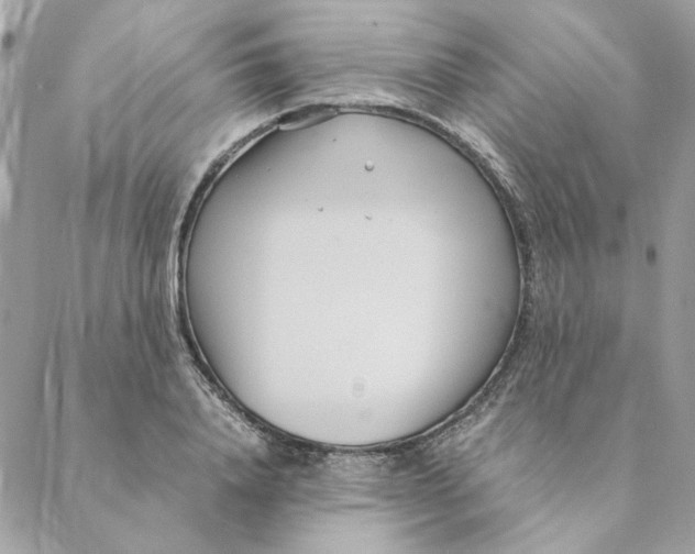 X0000088580840200706151709