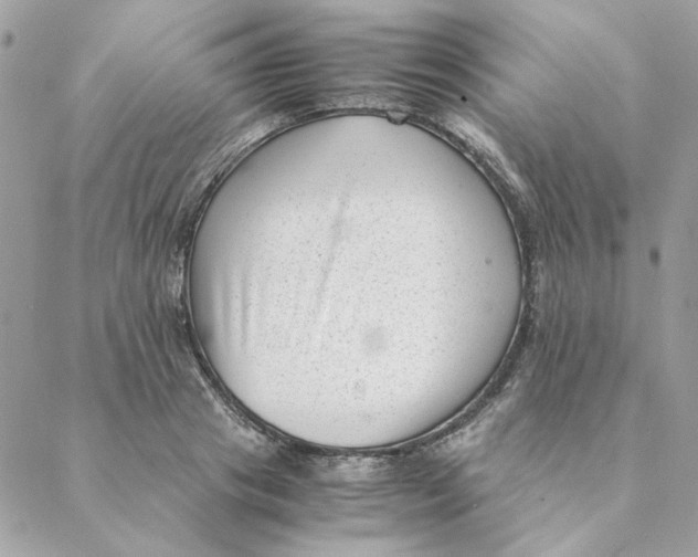 X0000088580841200706151709