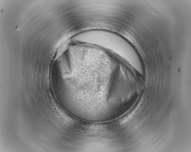 X0000088580842200706151709