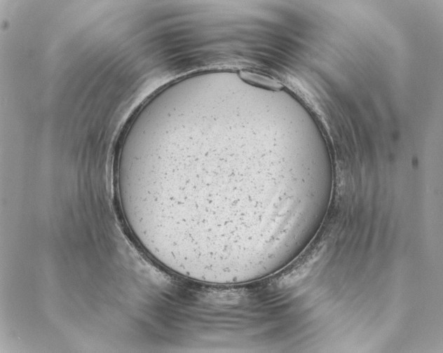 X0000088580843200706151709