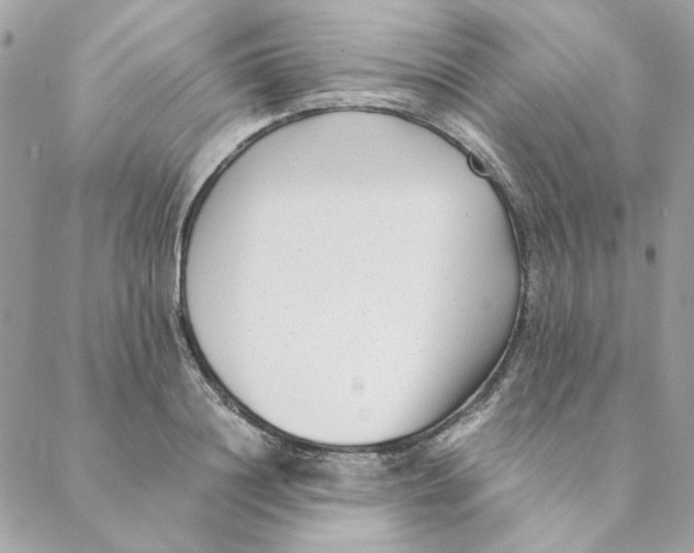 X0000088580844200706151709