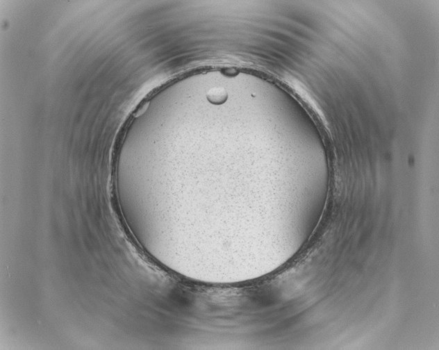 X0000088580845200706151709