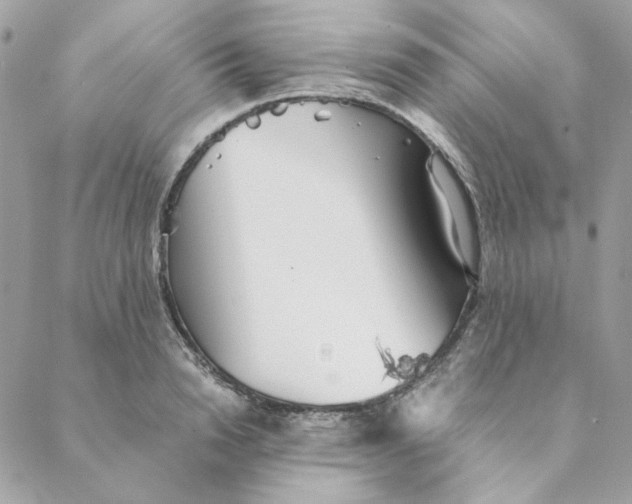 X0000088580846200706151709