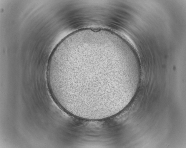 X0000088580847200706151709