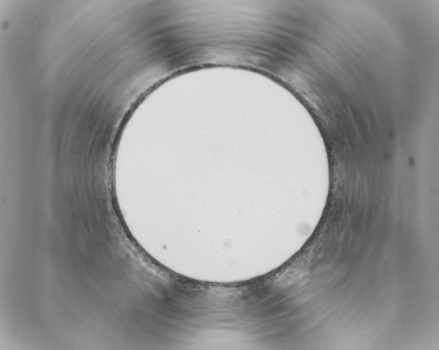 X0000088580848200706151709