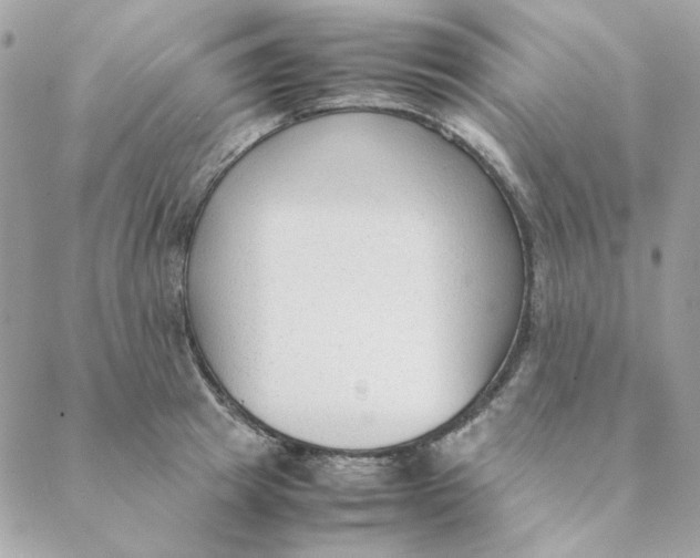 X0000088580849200706151709