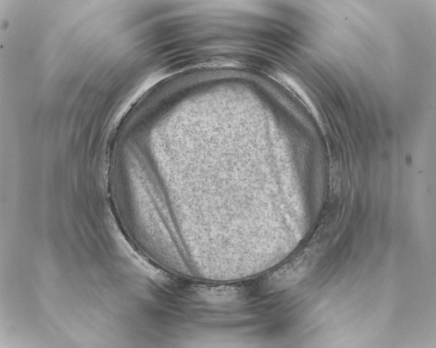 X0000088580851200706151709