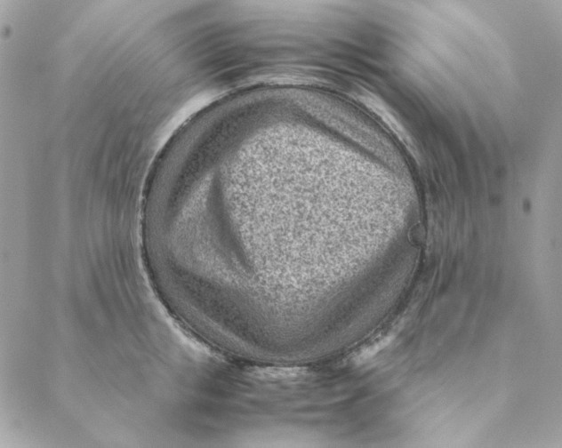 X0000088580853200706151709