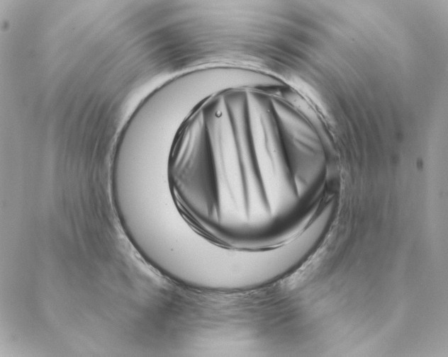 X0000088580854200706151709