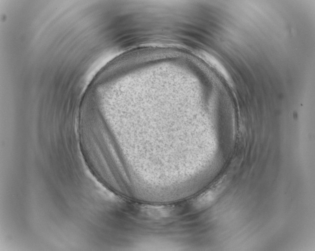 X0000088580855200706151709