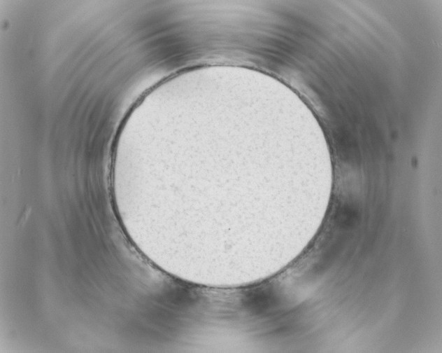 X0000088580856200706151710