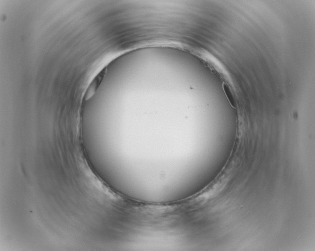 X0000088580860200706151710