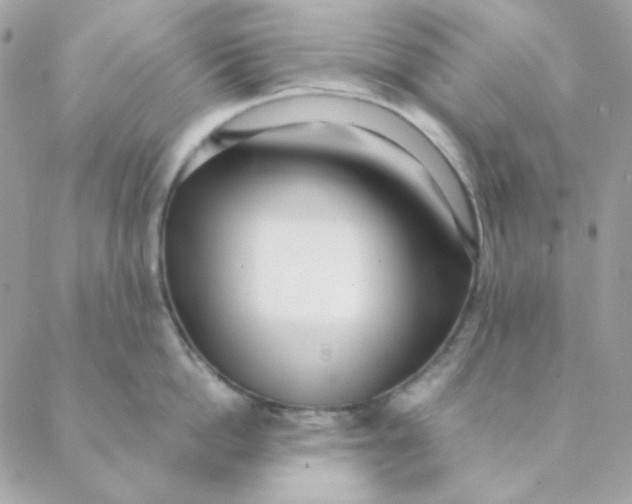 X0000088580862200706151710