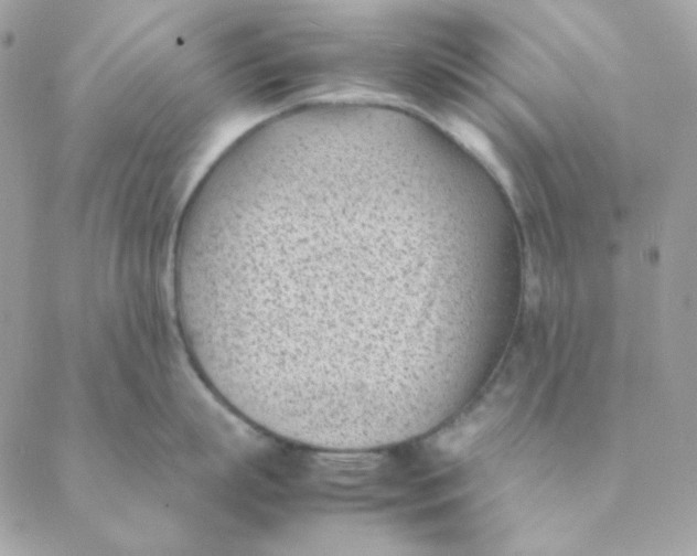 X0000088580863200706151710