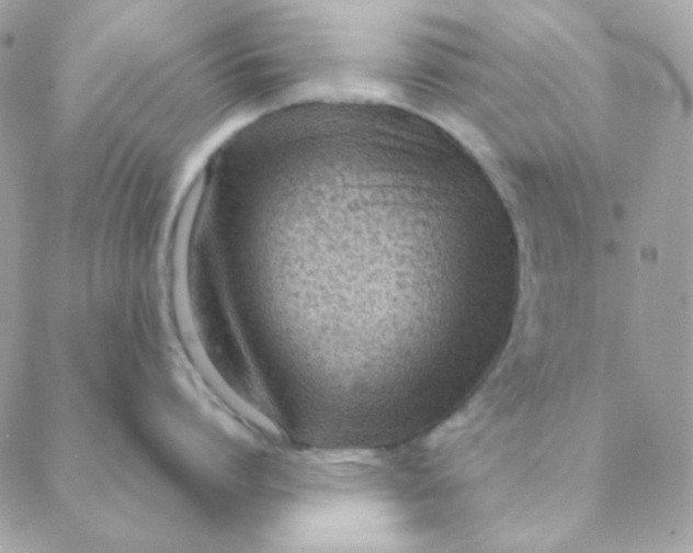 X0000088580864200706151710