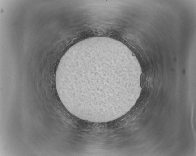 X0000088580865200706151709